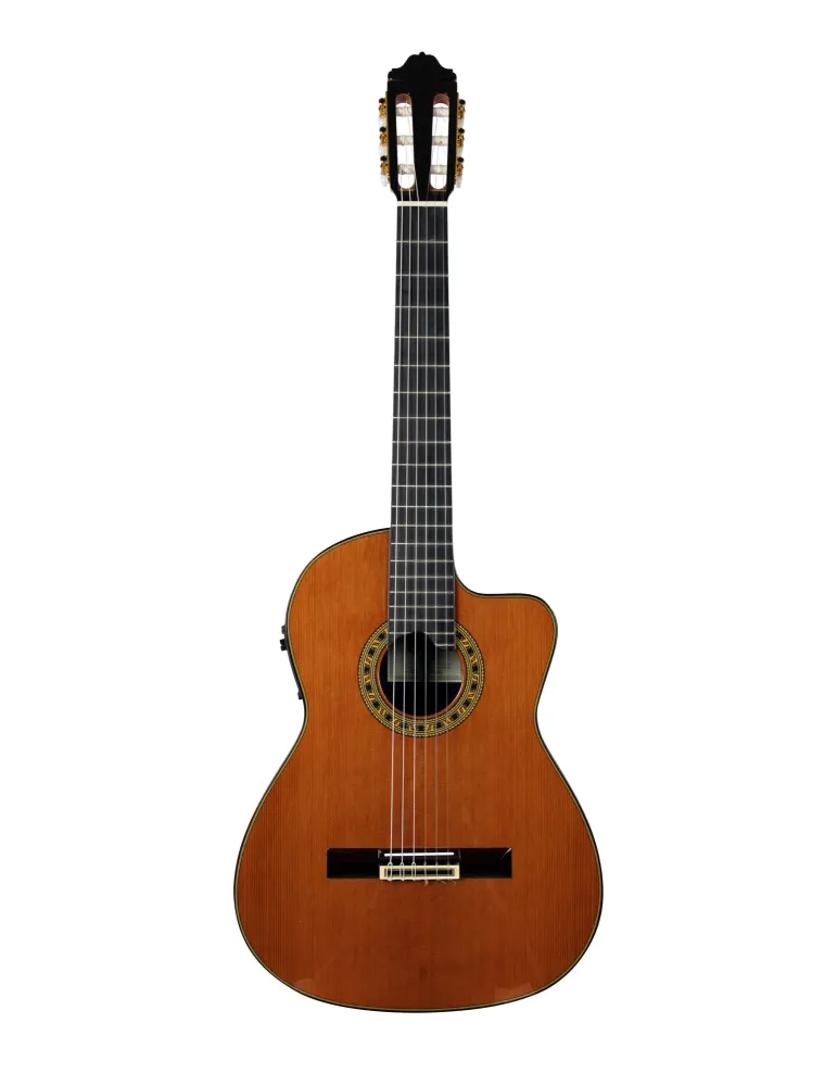 ESTEVE ELEC-SC | MusicGoodDeal