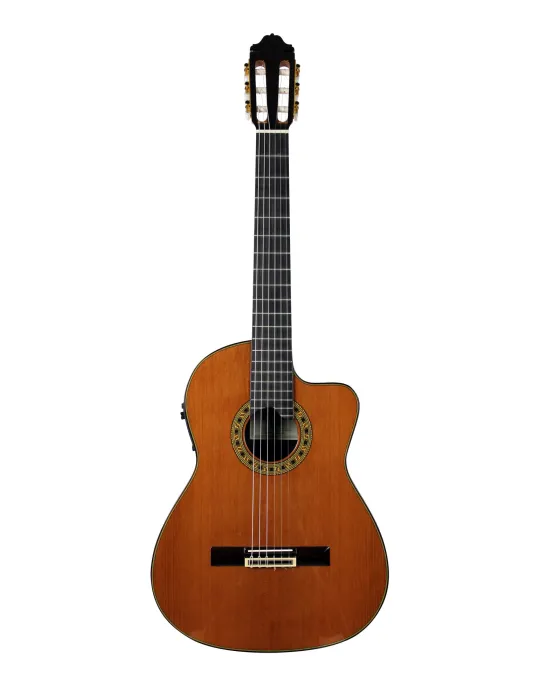 ESTEVE ELEC-SC | MusicGoodDeal
