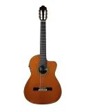 ESTEVE ELEC-SC | MusicGoodDeal