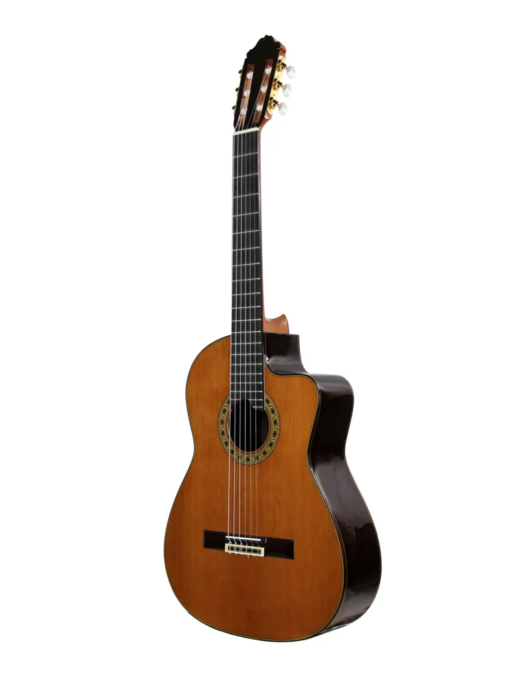ESTEVE ELEC-SC | MusicGoodDeal