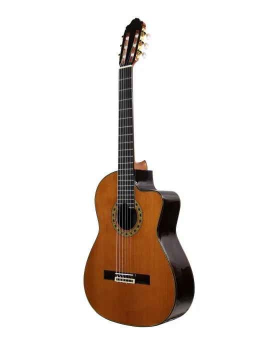 ESTEVE ELEC-SC | MusicGoodDeal