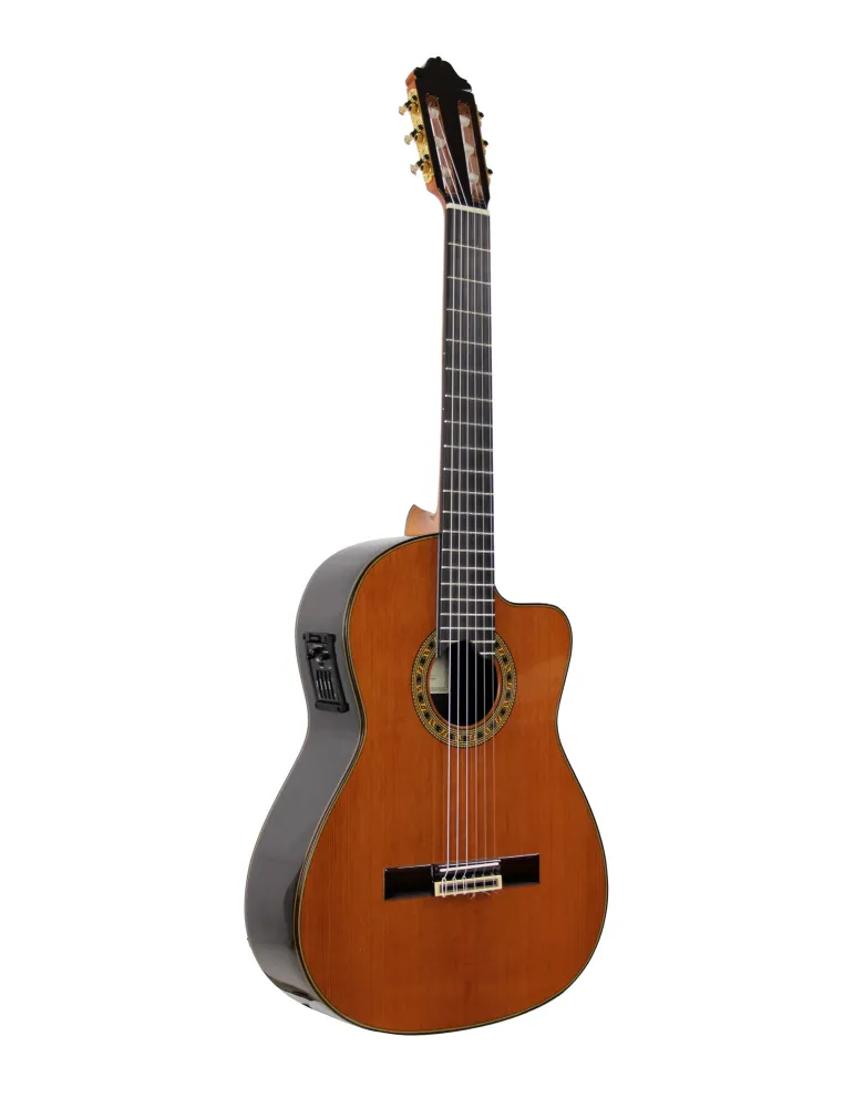 ESTEVE ELEC-SC | MusicGoodDeal