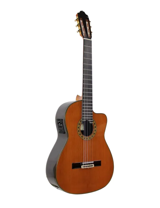ESTEVE ELEC-SC | MusicGoodDeal