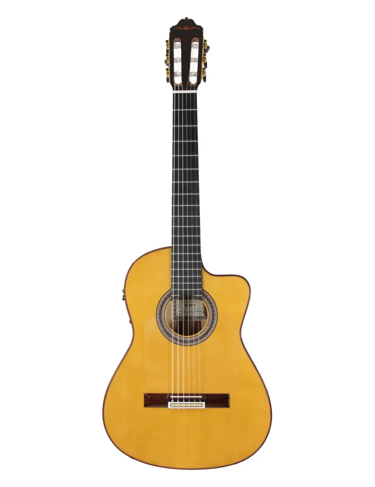 ESTEVE GK-CESP-SC | MusicGoodDeal