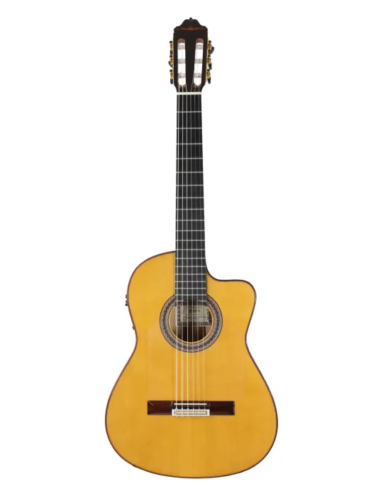 ESTEVE GK-CESP-SC | MusicGoodDeal
