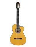 ESTEVE GK-CESP-SC | MusicGoodDeal