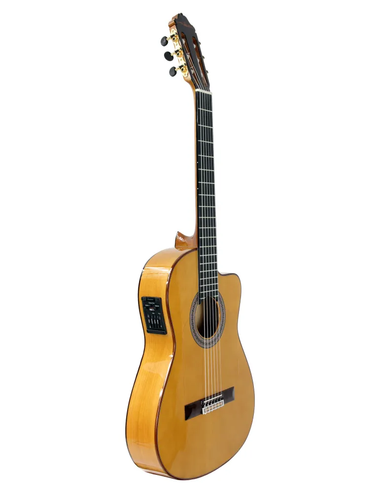 ESTEVE GK-CESP-SC | MusicGoodDeal