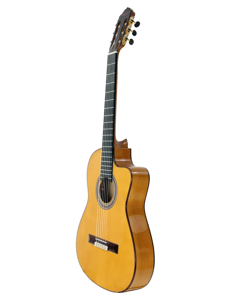 ESTEVE GK-CESP-SC | MusicGoodDeal