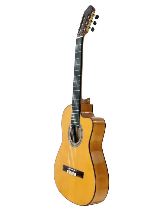 ESTEVE GK-CESP-SC | MusicGoodDeal
