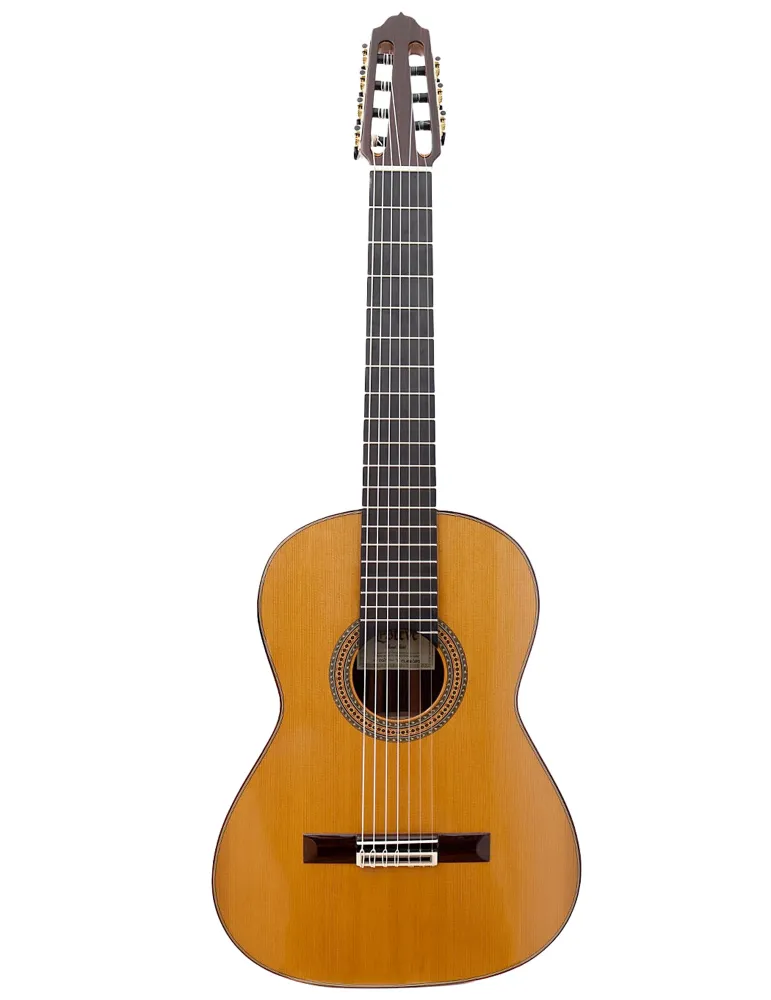 ESTEVE 7CUERDAS | MusicGoodDeal