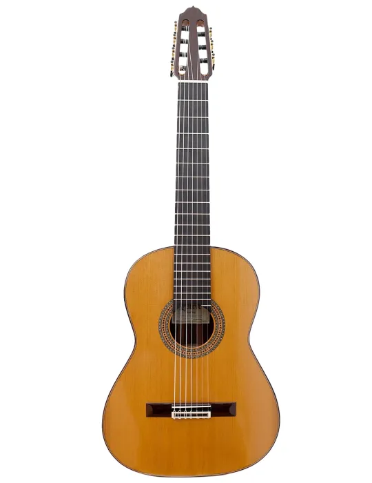 ESTEVE 7CUERDAS | MusicGoodDeal