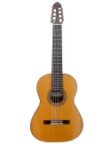 ESTEVE 7CUERDAS | MusicGoodDeal