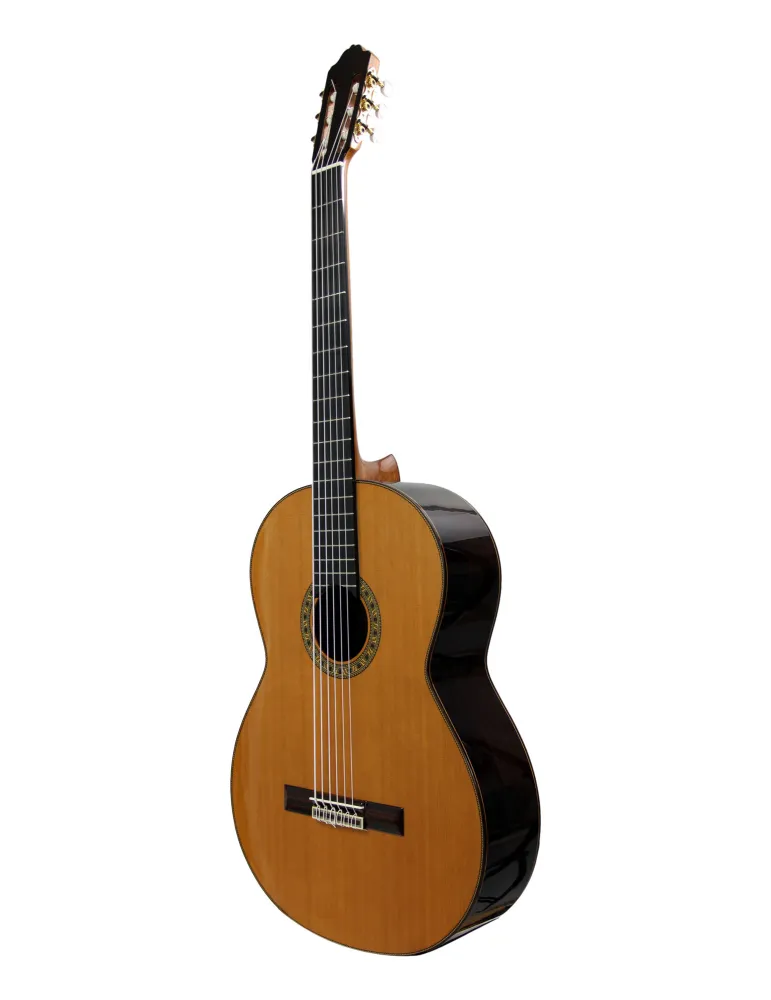  ESTEVE 15775-6 BASS 6C OCTAVE BASS TABLE CEE|MusicGoodDeal 