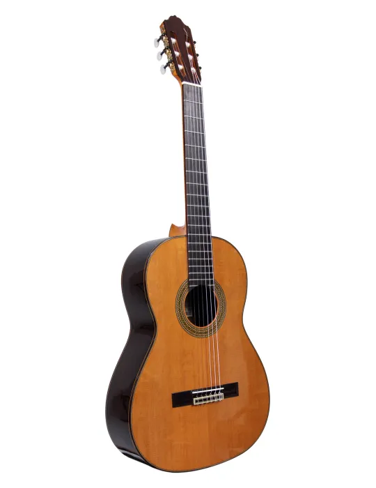  ESTEVE GUITAR MOD.7 LEFT-HANDED CEDAR TABLE|MusicGoodDeal 