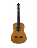ESTEVE 15417S-SC | MusicGoodDeal