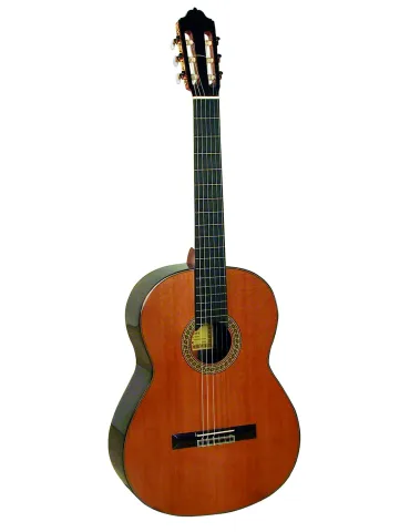  ESTEVE GUITAR 7SR CEDAR TABLE AND CASE|MusicGoodDeal 
