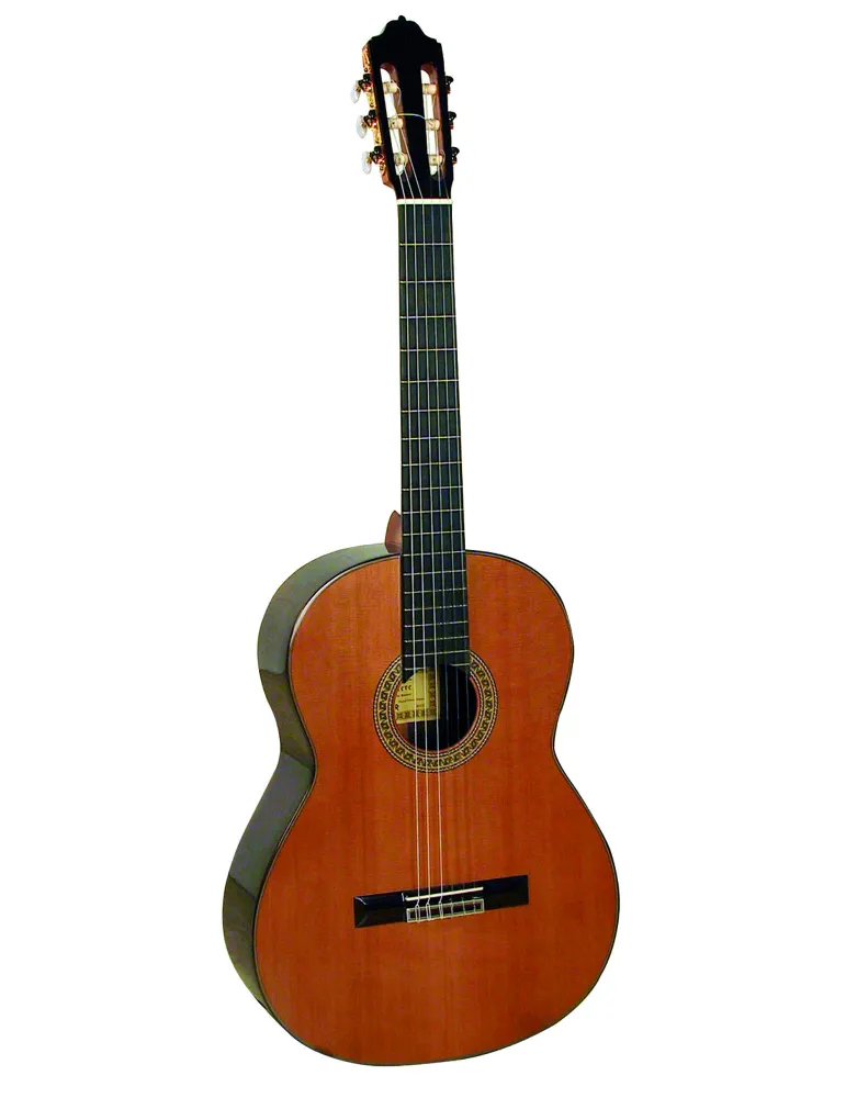  ESTEVE GUITAR 7SR CEDAR TABLE AND CASE|MusicGoodDeal 