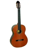  ESTEVE GUITAR 7SR CEDAR TABLE AND CASE|MusicGoodDeal 