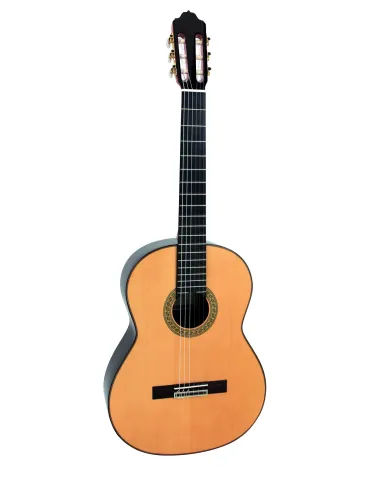  ESTEVE GUITAR 7SR TABLE EPICEA AND CASE|MusicGoodDeal 