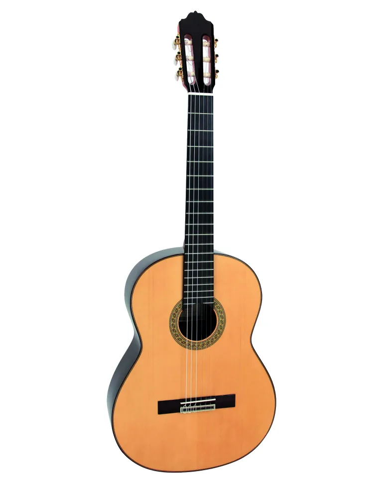  ESTEVE GUITAR 7SR TABLE EPICEA AND CASE|MusicGoodDeal 