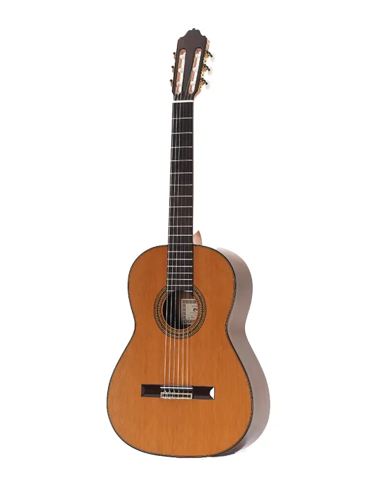 ESTEVE 15417SMOP-SC | MusicGoodDeal