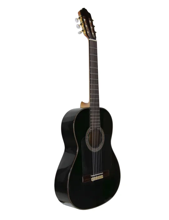 ESTEVE 15455BKST | MusicGoodDeal