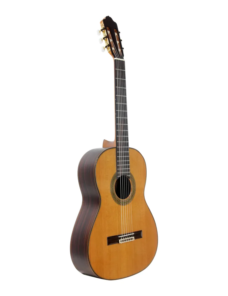 ESTEVE 15447TB | MusicGoodDeal