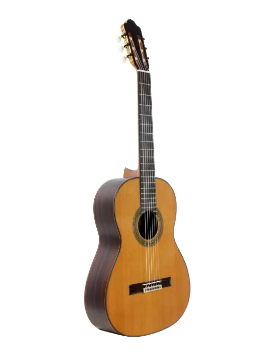 ESTEVE 15447TB | MusicGoodDeal