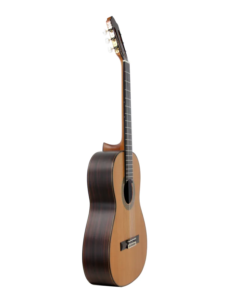 ESTEVE 15447TB | MusicGoodDeal