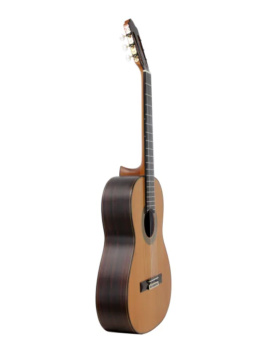 ESTEVE 15447TB | MusicGoodDeal