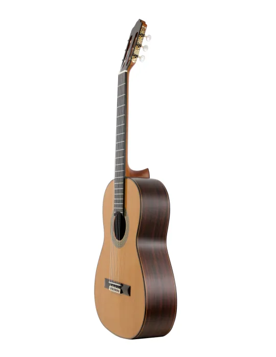 ESTEVE 15447TB | MusicGoodDeal