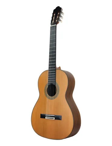 ESTEVE 15445SAT | MusicGoodDeal
