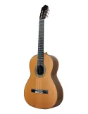 ESTEVE 15445SAT | MusicGoodDeal