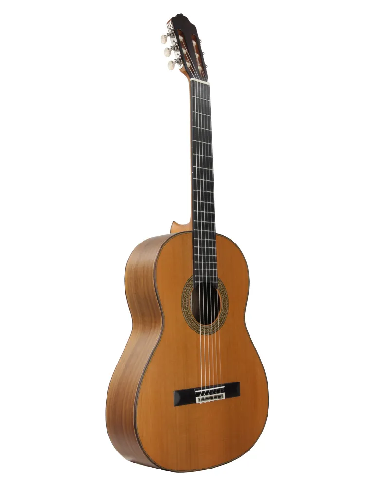 ESTEVE 15445SAT | MusicGoodDeal