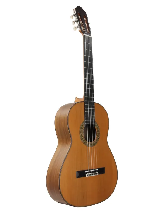 ESTEVE 15445SAT | MusicGoodDeal