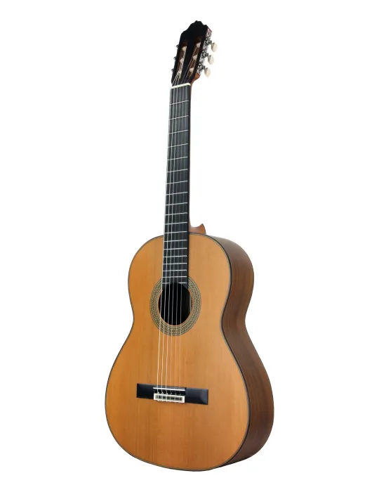 ESTEVE 15445SAT | MusicGoodDeal
