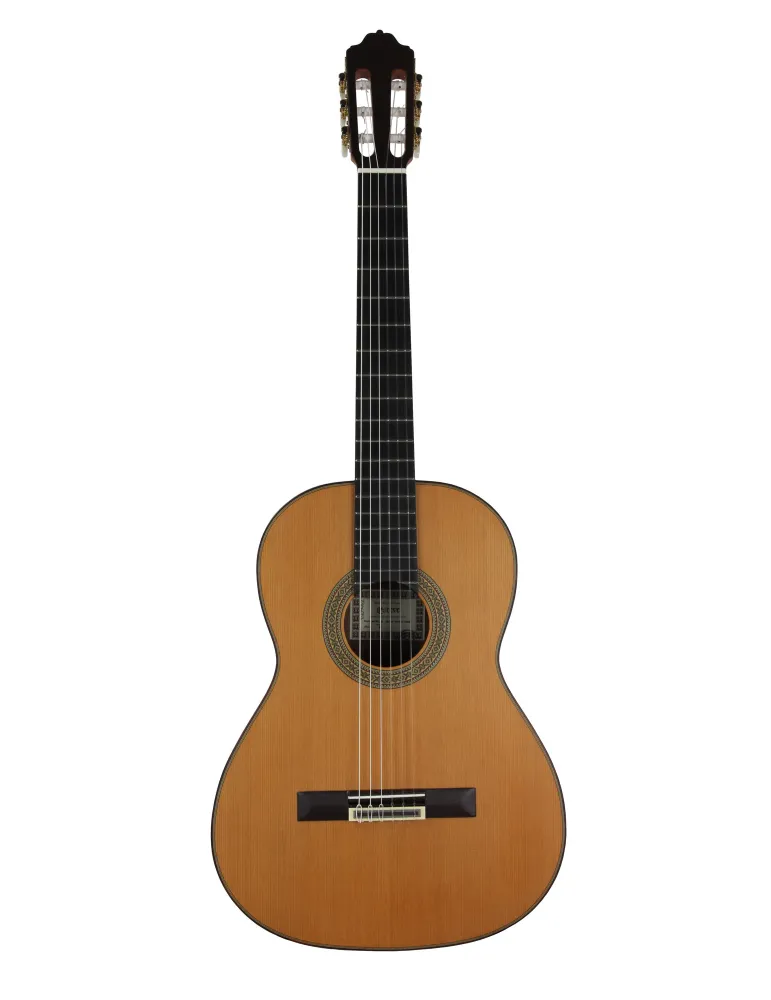 ESTEVE 15447SAT | MusicGoodDeal