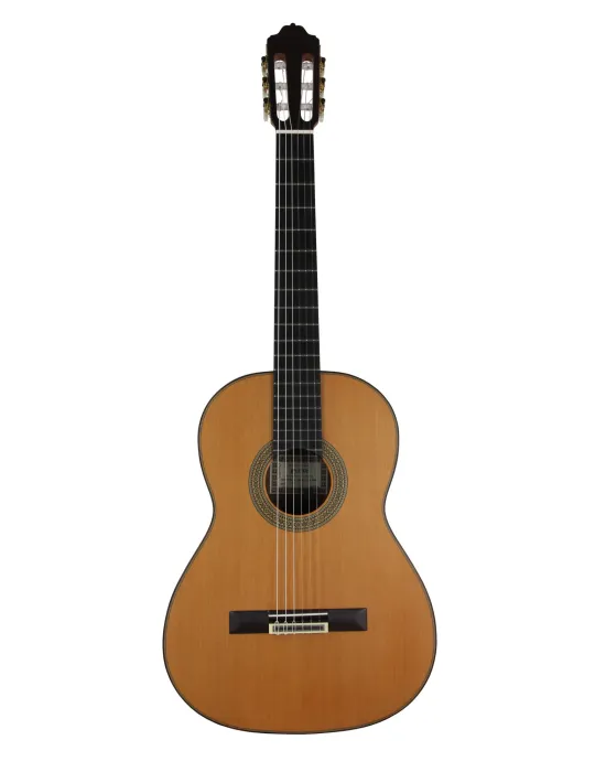 ESTEVE 15447SAT | MusicGoodDeal
