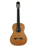 ESTEVE 15447SAT | MusicGoodDeal