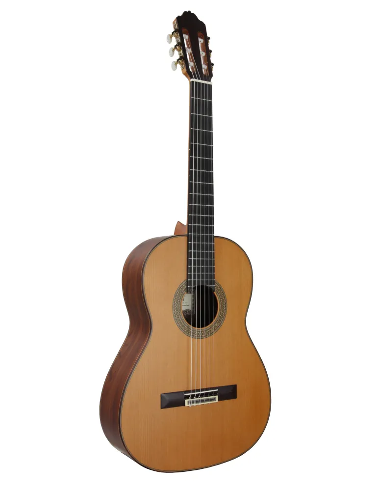 ESTEVE 15447SAT | MusicGoodDeal