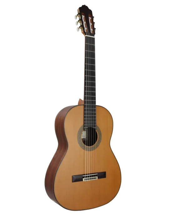 ESTEVE 15447SAT | MusicGoodDeal