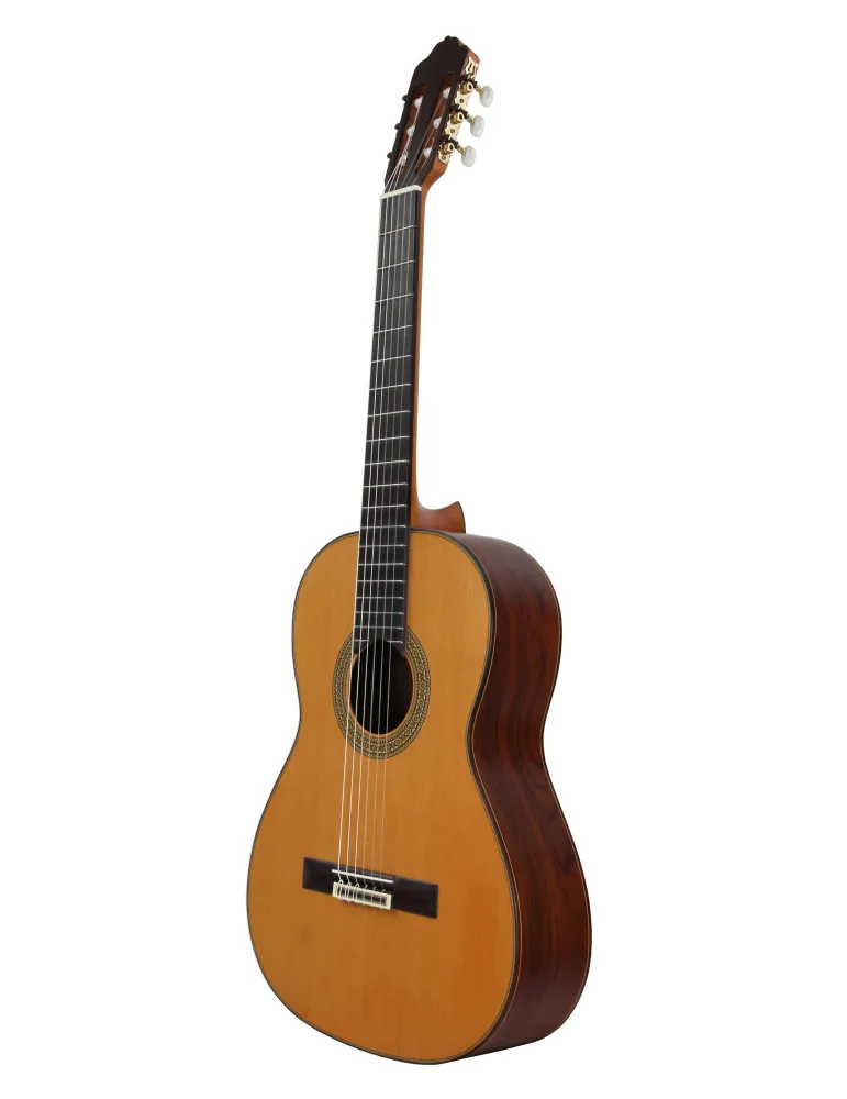ESTEVE 15447SAT | MusicGoodDeal