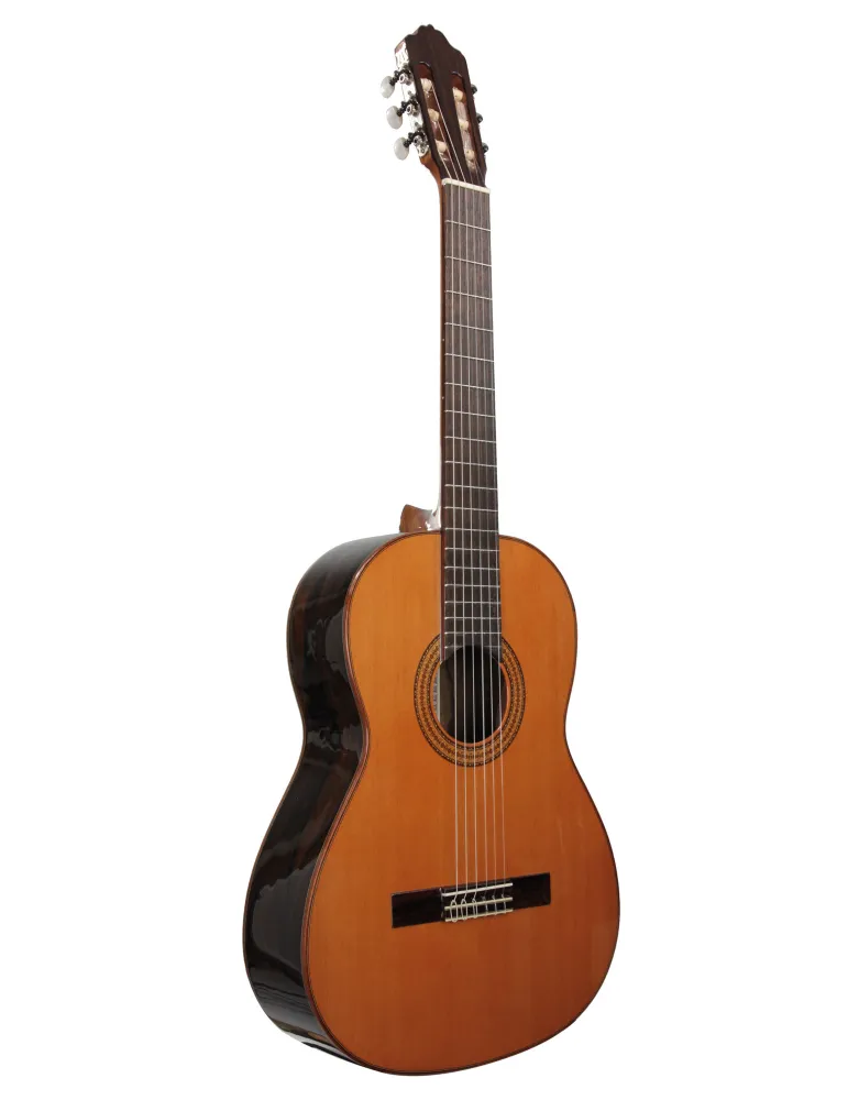  ESTEVE GUITAR 3Z F/E ZIRICOTE|MusicGoodDeal 