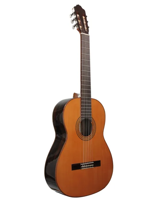  ESTEVE GUITAR 3Z F/E ZIRICOTE|MusicGoodDeal 
