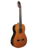  ESTEVE GUITAR 3Z F/E ZIRICOTE|MusicGoodDeal 