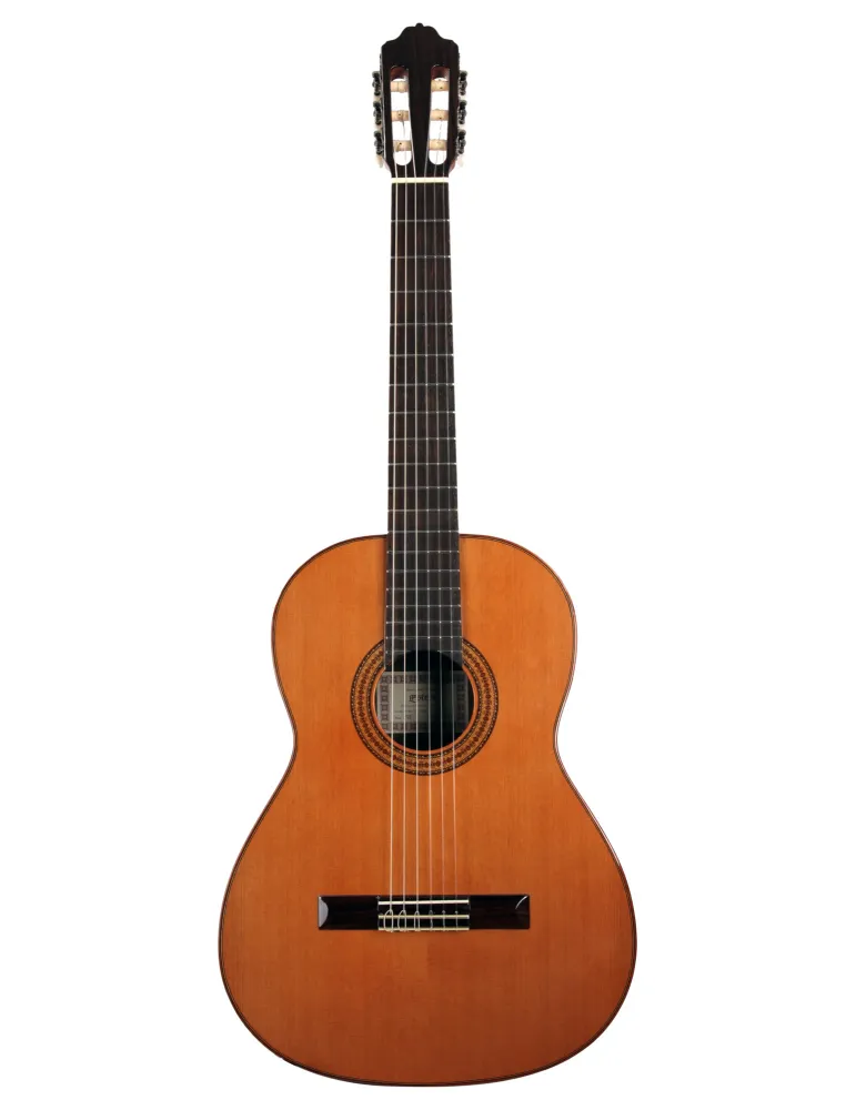 ESTEVE GUITAR 3Z F/E ZIRICOTE|MusicGoodDeal 