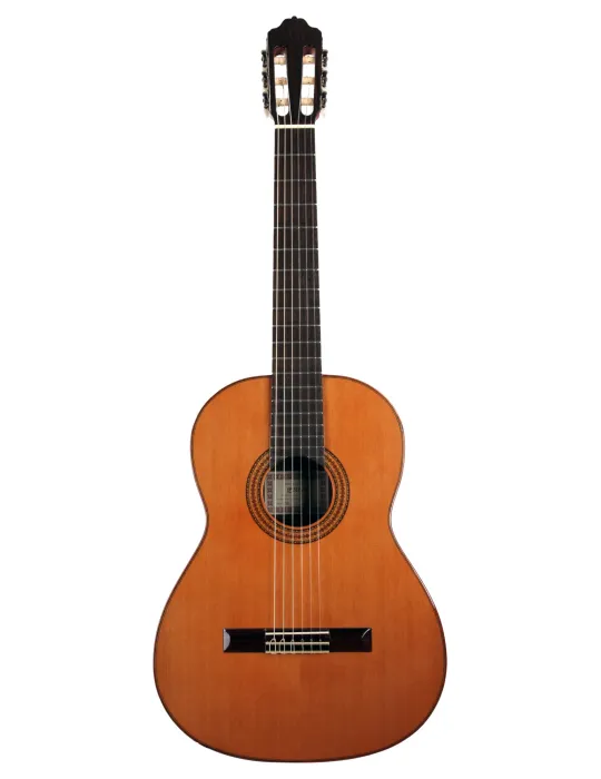  ESTEVE GUITAR 3Z F/E ZIRICOTE|MusicGoodDeal 