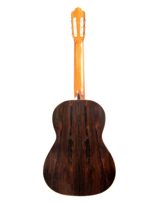  ESTEVE GUITAR 3Z F/E ZIRICOTE|MusicGoodDeal 