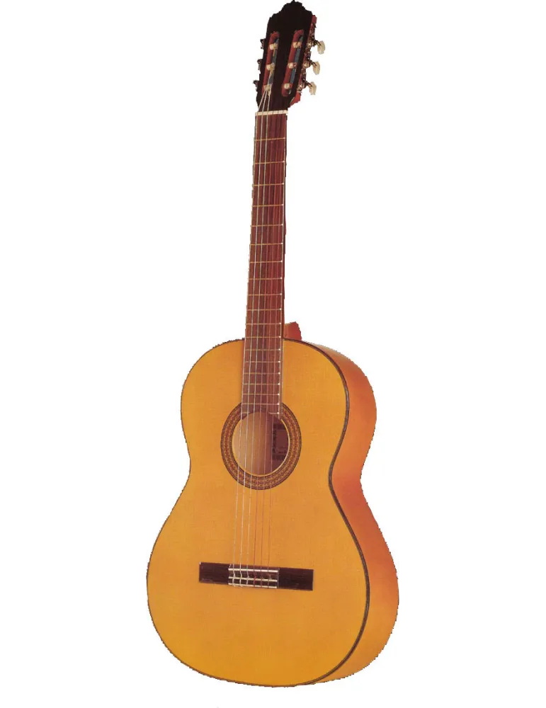  ESTEVE GUITAR 5F TABLE EPICEA|MusicGoodDeal 