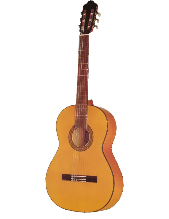  ESTEVE GUITAR 5F TABLE EPICEA|MusicGoodDeal 